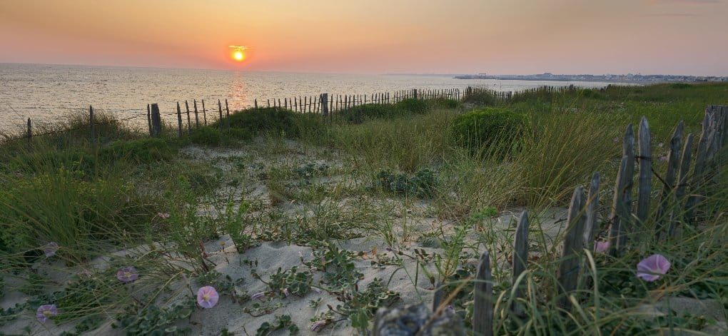 Dune au coucher du soleil