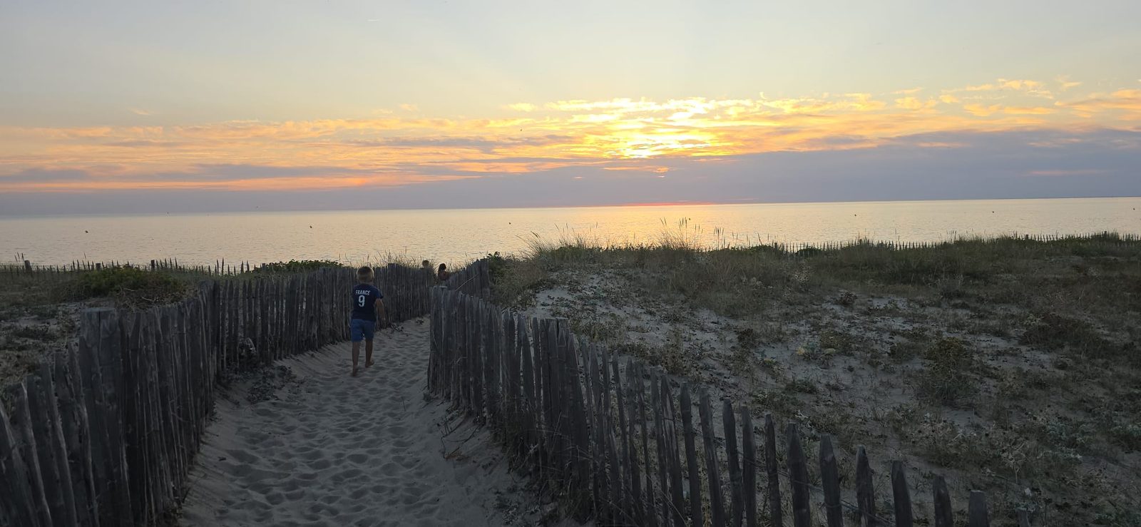 Dune et végétation près de la maison